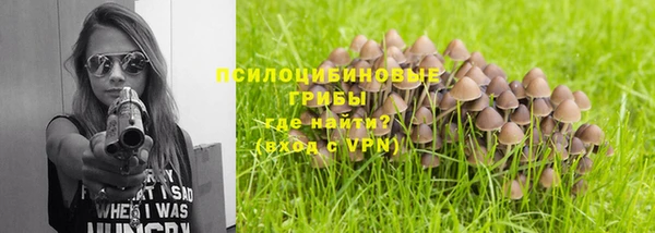бошки Магас